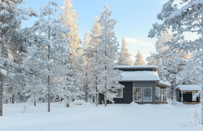 Pallaskieppi - Foto 4