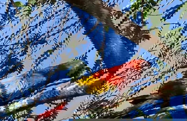 TIPS Vacation - Foto 56