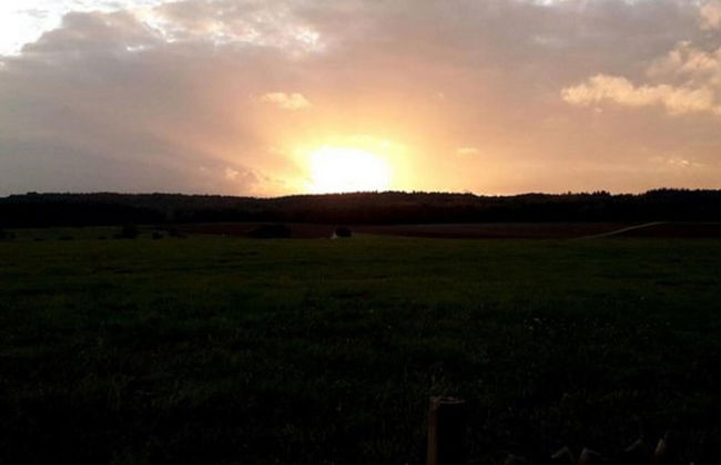 Eifel Garden Villa for Groups - Foto 39