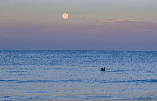 Villa Capri - Waterfront Retreat With Heated Pool - Foto 73