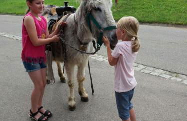 Andreashof - Foto 18