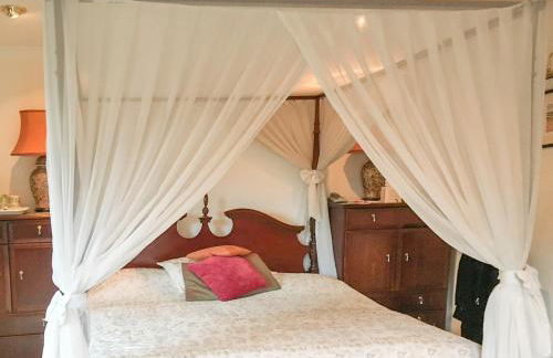 Scardroy Alford - Photo 9