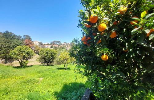 Studio terrasse climatisé VUE MER avec parking - Foto 17