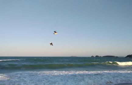 Casa Pedro - Foto 12