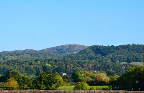 Fantasia - Uk46009 - Foto 34