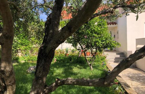 Schöne Ferienwohnung mit Terrasse, Roses - Photo 39