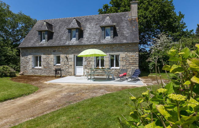 Blaue Hortensie - Foto 1