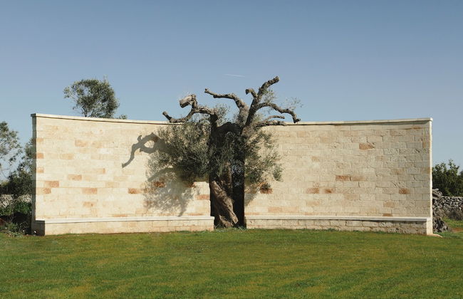 Secolario Masseria Del Viverbene - Photo 70