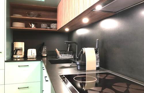 LE SORNIN - Garage - Clim - Hypercentre - Terrasse - Foto 6