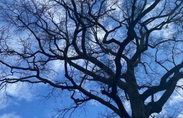 Villa La Quercia Country House - Foto 48