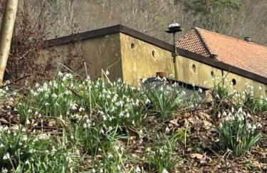 Ferienhaus im Schwarzwald - Foto 17