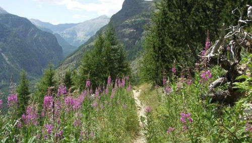 Appartement spacieux pour 10 pers, à 100m des pistes, Wifi gratuit, animaux admis - Saint-Michel-de-Chaillol - FR-1-393-42 - Foto 5