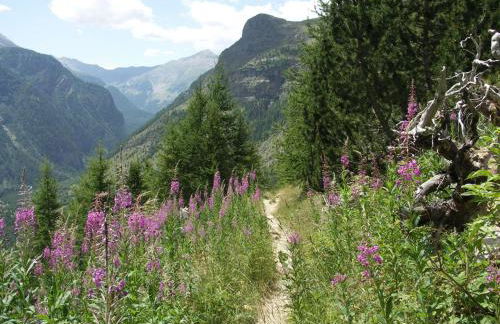 Appartement spacieux pour 10 pers, à 100m des pistes, Wifi gratuit, animaux admis - Saint-Michel-de-Chaillol - FR-1-393-42 - Foto 5