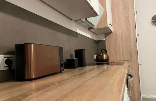 EXKLUSIVE 2 Zimmer EG Wohnung mit Balkon in Top Lage! - Foto 11