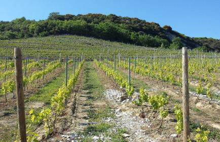 Terre de Crussol - Gite 3 étoiles en Ardèche, avec piscine et clim, 2-4 personnes - Photo 23