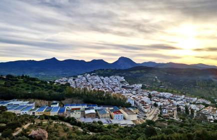 La Payana, Prado del Rey muy cerca de El Bosque - Foto 13