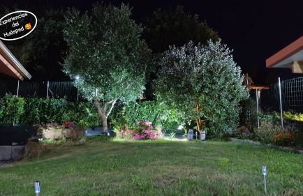 Eido da Consaca - Foto 9