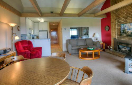 The Grey Gull - Foto 38