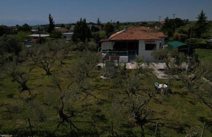 Dream in Chalkidiki 2 bedroom villa with garden - Foto 64