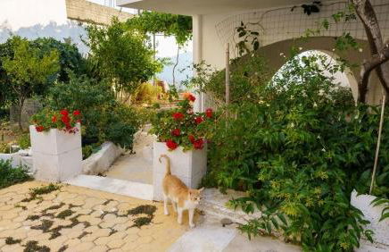 EMPHASIS Traditional House with Jacuzzi & Bicycles - Foto 23