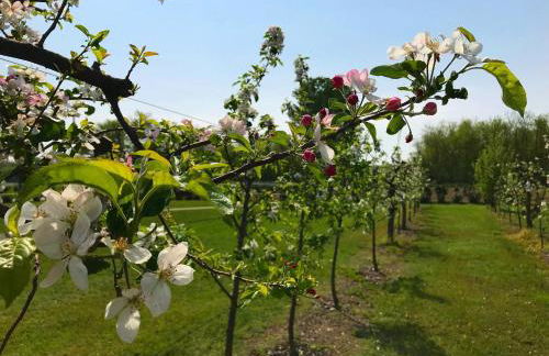 Agriturismo La Biandrina - Foto 67