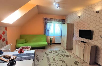 Apartamenty Pilsko Korbielów komfortowe mieszkania dla rodzin i narciarzy w Beskidach - Foto 74