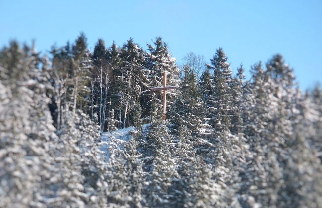 Dreislar Mountain Hideaway - Photo 41