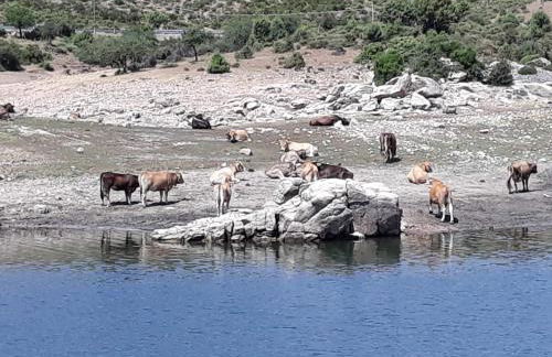 Il sughereto - Foto 23