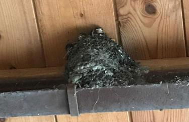 Hering FeWo I Apartment Terrace - Foto 29