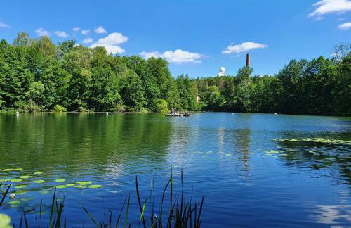 Wohnung in Zarnewanz nahe Ostsee - Foto 32