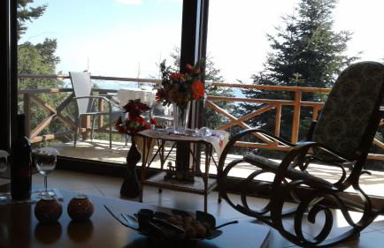 Elatos cozy Studio - Foto 11