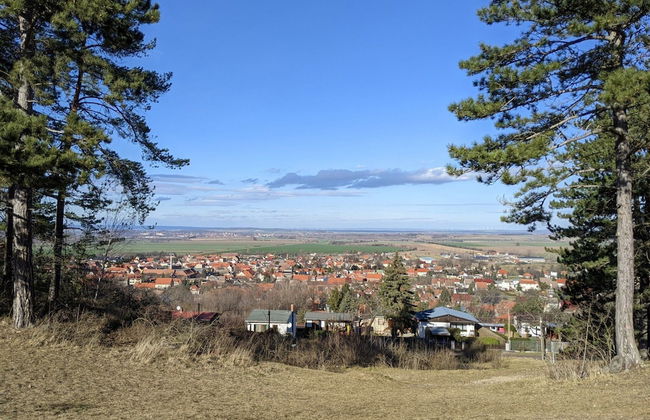 Holiday Home on the Mountain With Views - Photo 38