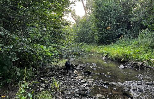 Ośrodek VolfCamp Kwaszenina - Foto 68