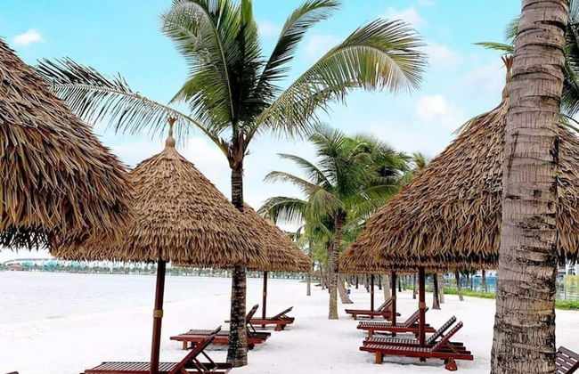 Bom Homes- Vinhomes Ocean Park - Foto 72