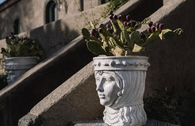 Tenuta di Fessina - Foto 32