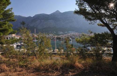 Milic Apartments - Foto 55