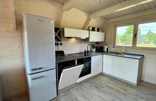 U Ewy pod Brzozami - Foto 13