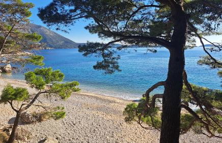 Apartment Blue Pearl - Foto 27