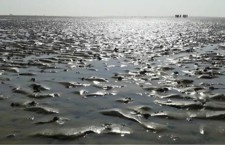 Ferienwohnungen Felix und Jan - Photo 17