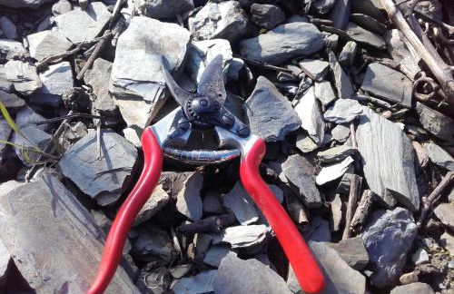 Ferienweingut Ulrike Thul - Foto 21