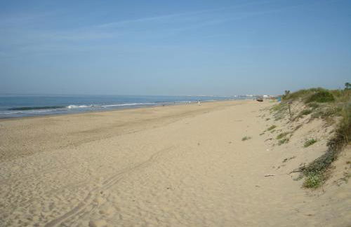 Islantur Ipanema - Photo 18