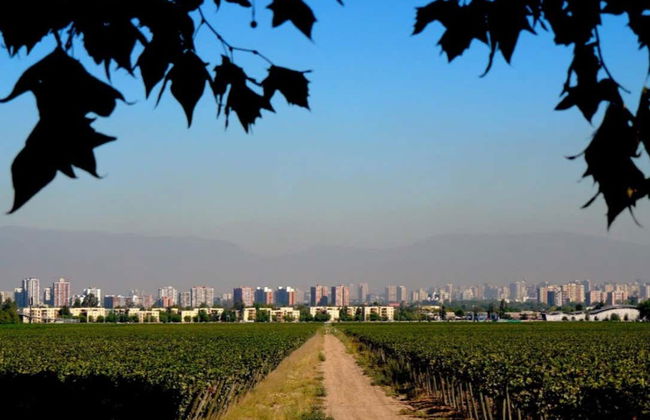 Tour por la Viña Cousiño Macul y el Templo Bahaí - Foto 10