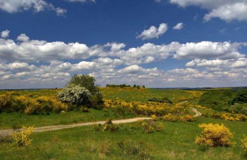 Ferienwohnung EifelReich - Photo 21