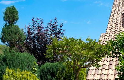 Apartament Les Tonyines - Foto 33