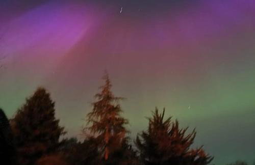 Findon nook - Photo 13