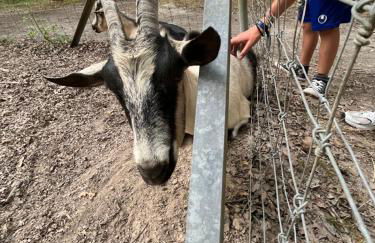 Maison des Sources Touraine -SPA- - Foto 49