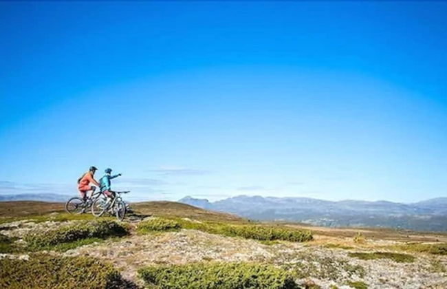 Topcamp Hallingdal - Ål - Photo 43