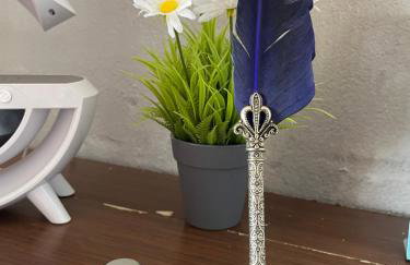 Cabana Mesa do Rei Com Vista Para o Litoral - Foto 29