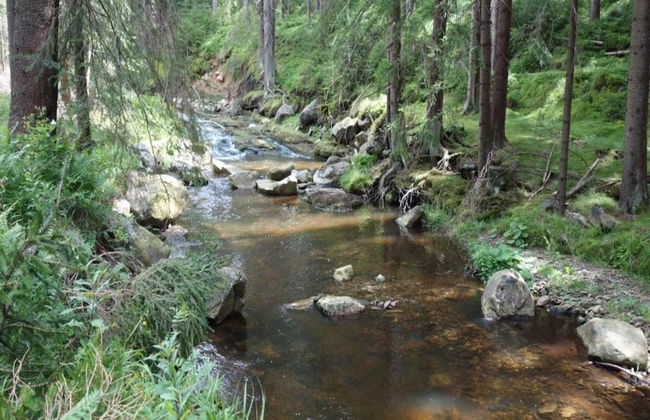 Nice Holiday Home With Fireplace in the Ore Mountains Near the Chairlift - Foto 25