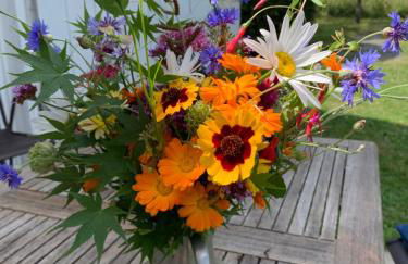 Gîte La Louisiane - Foto 10